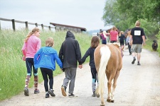Fotografie z aktivit s koňmi v programu „Rodina spolu“