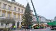 Vánoční strom – milý dárek občanů z Opatova