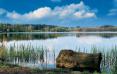 Opatření na zlepšení kvality vody v rybníku Rosnička